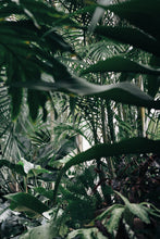 Load image into Gallery viewer, Green Plants Wall Art Banner 138/200 cm, Acoustic Textile Art Print