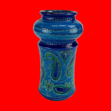 Load image into Gallery viewer, Vintage Mid - Century Italian Bitossi Aldo Londi Liberty Vase 1960s - MOJO Shop