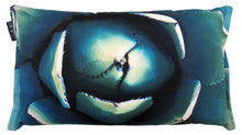 Load image into Gallery viewer, Cactus Pillow Agave