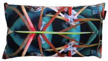 Load image into Gallery viewer, Cactus Pillow Spiky