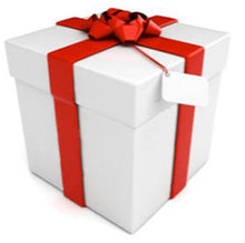 Load image into Gallery viewer, Nulls.Net
