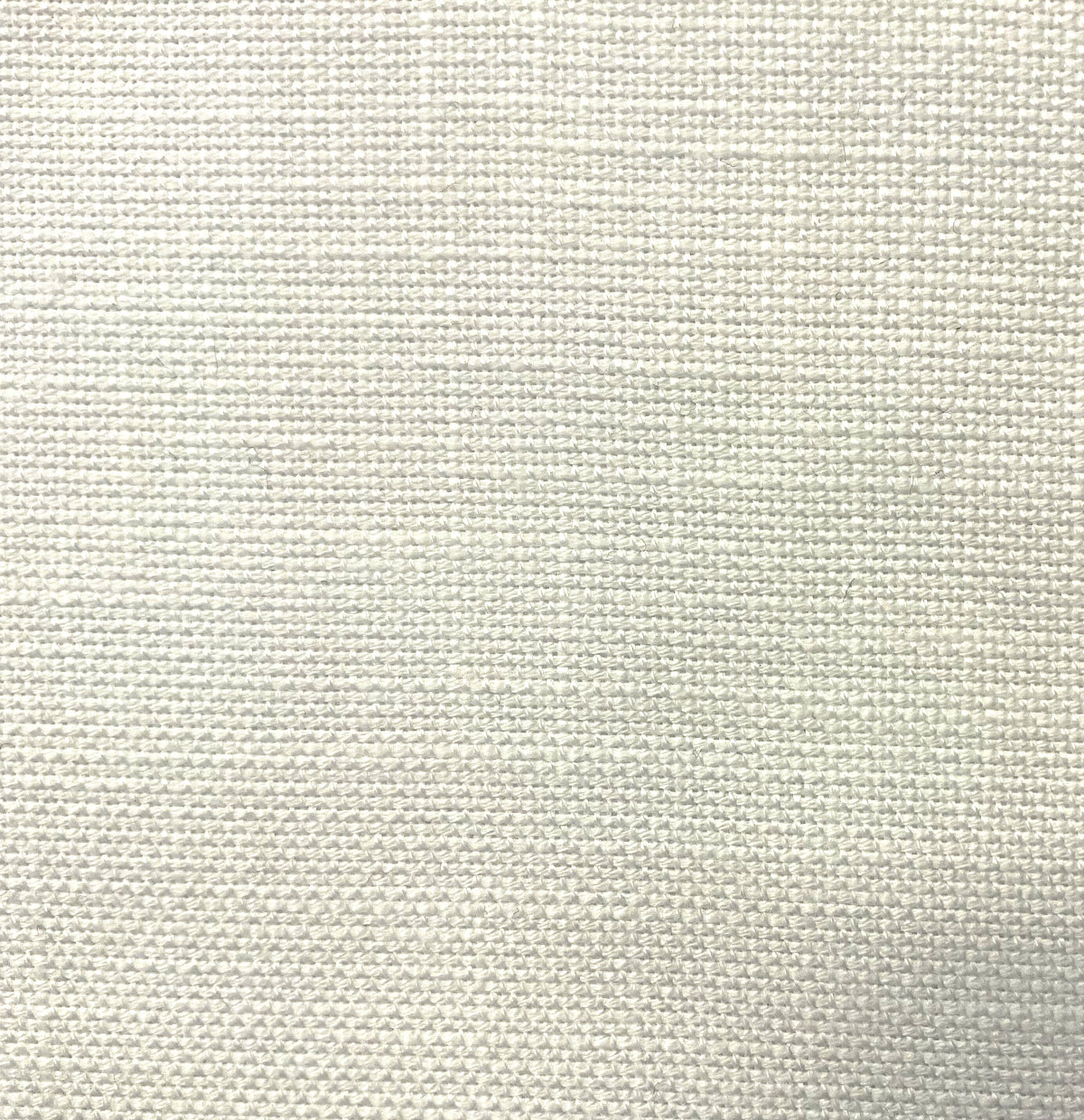 Sample Swatch | POLYESTER