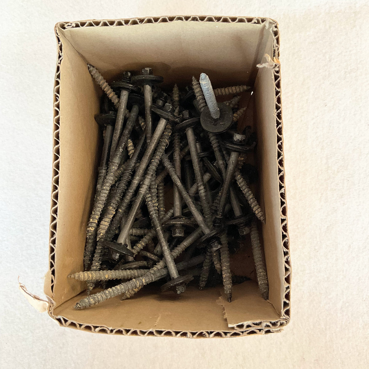 Sandwich panel screws for wood