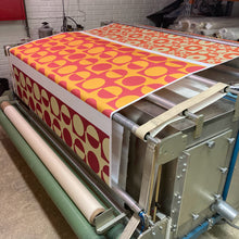 Lade das Bild in den Galerie-Viewer, Rimslow Steam - X Textile steamer and heat fixation machine - MOJO Shop
