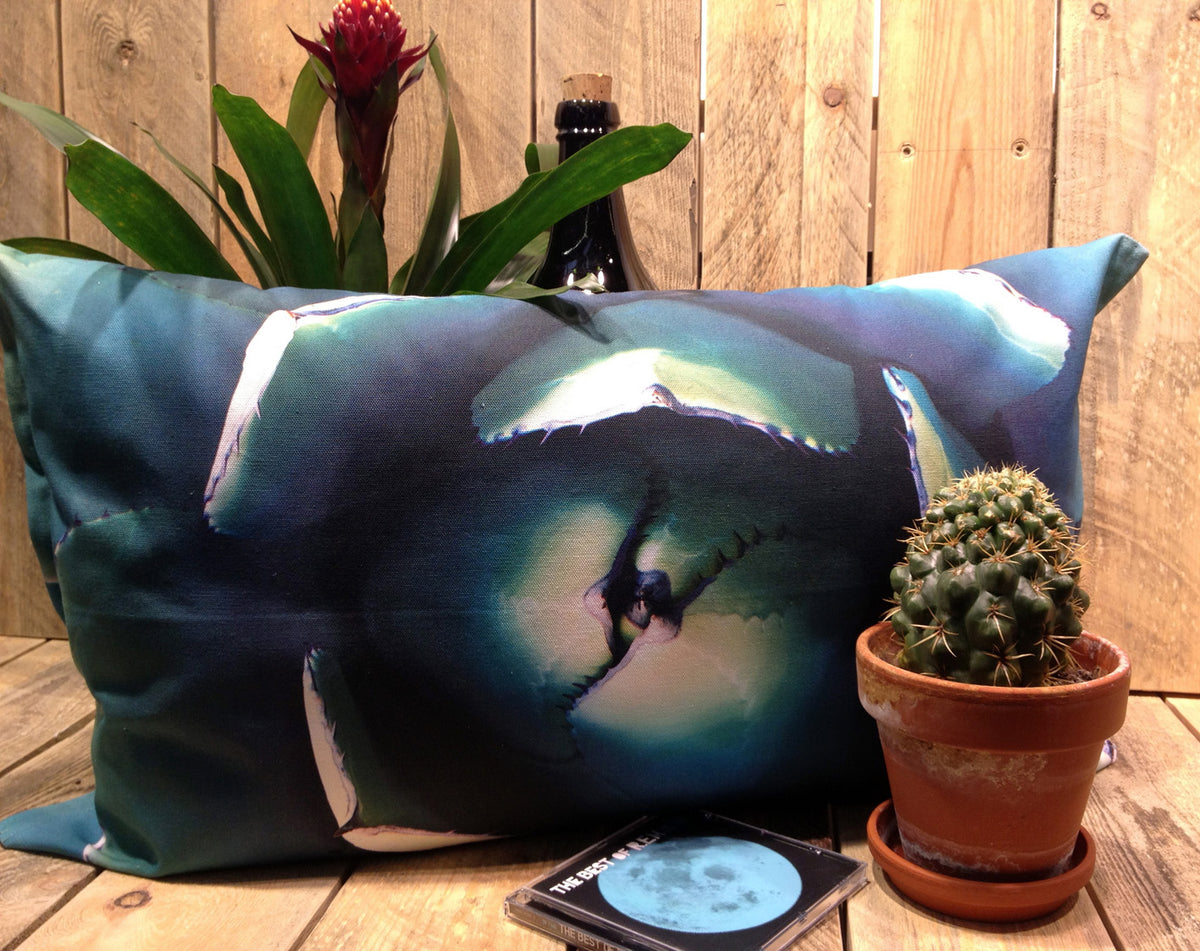 Cactus Agave the vibrant, contrast-color cushion.