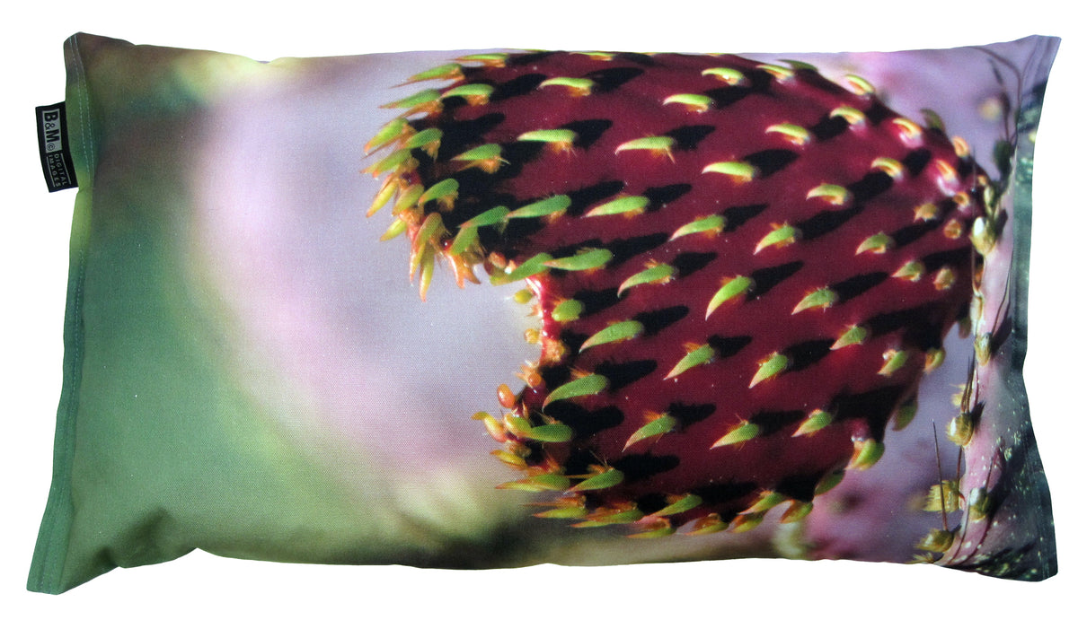 Cactus Valentines Day Heart, the vibrant contrast-color cushion