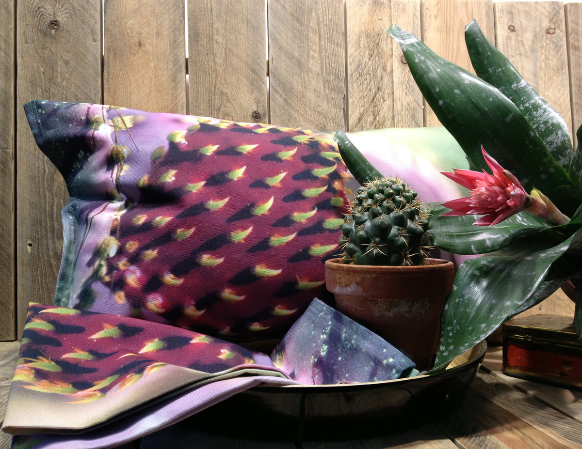 Cactus Valentines Day Heart, the vibrant contrast-color cushion