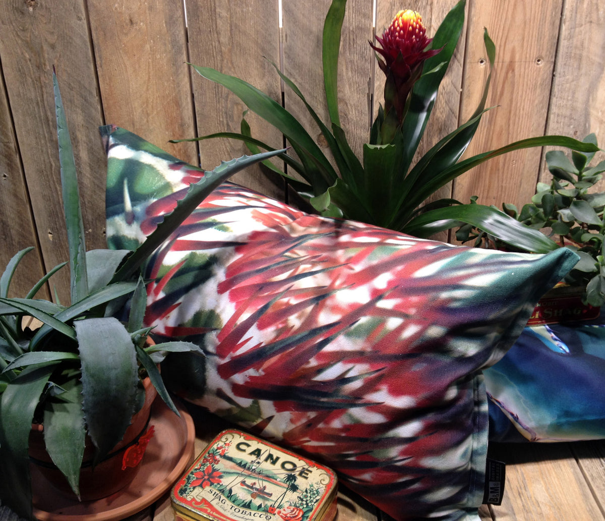 Cactus Christmas Spiky contrast-color cushion