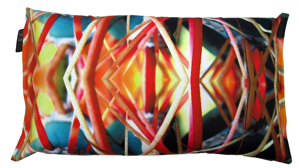 Cactus Spiky the vibrant, contrast-colour cushion