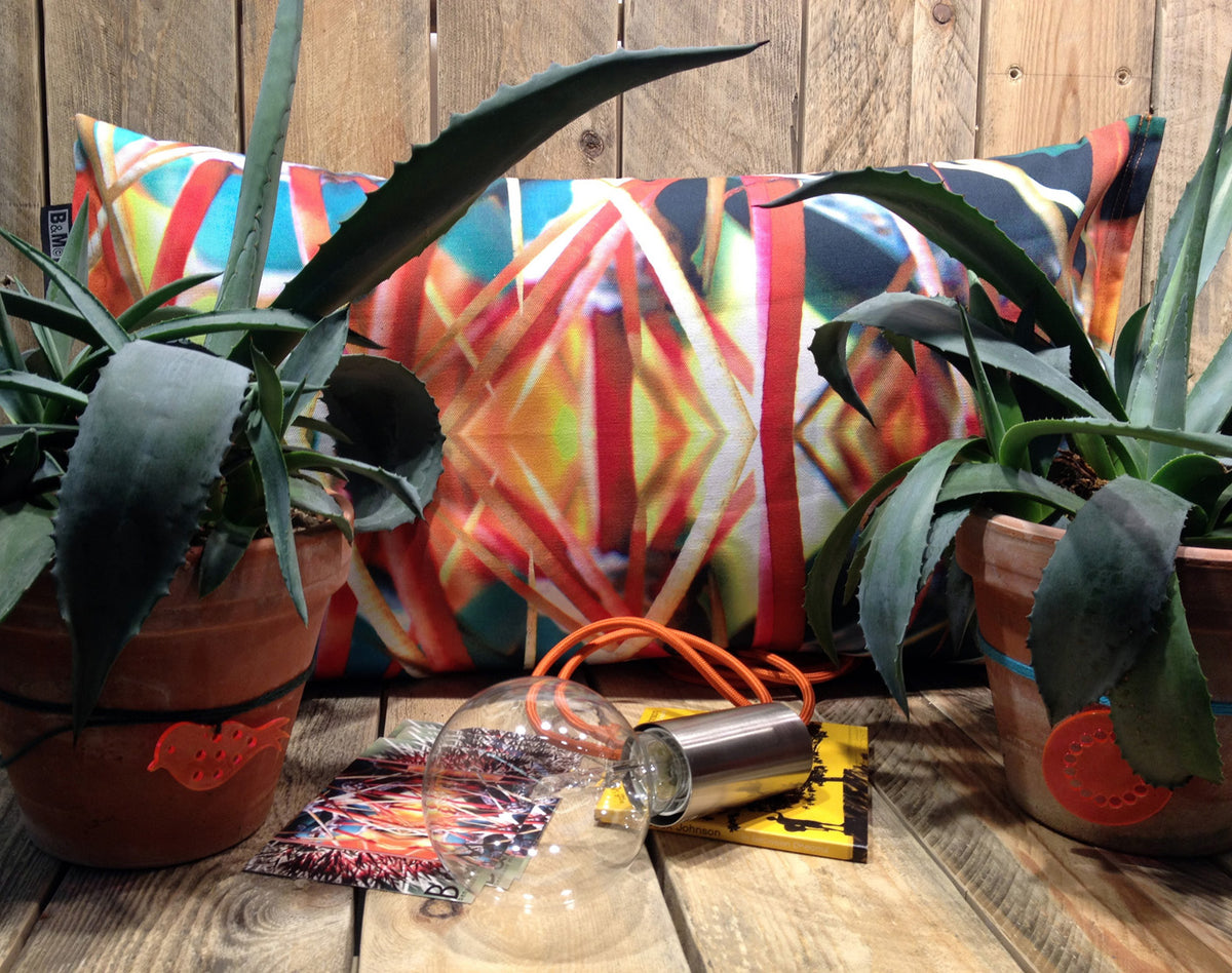 Cactus Spiky the vibrant, contrast-colour cushion